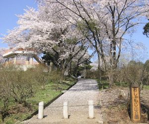 おしゃもじ山公園