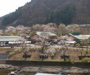 道の駅　果樹公園あしがくぼ