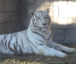 東武動物公園