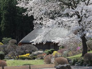 道の駅 和紙の里 ひがしちちぶ