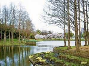 北本市総合公園