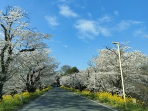 城ケ谷堤