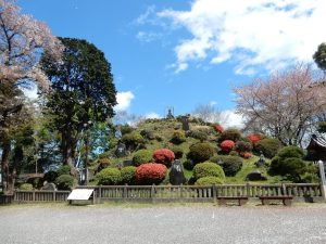 田子山富士塚