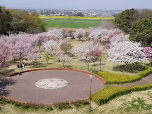 高尾さくら公園