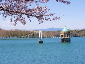 所沢市_狭山湖