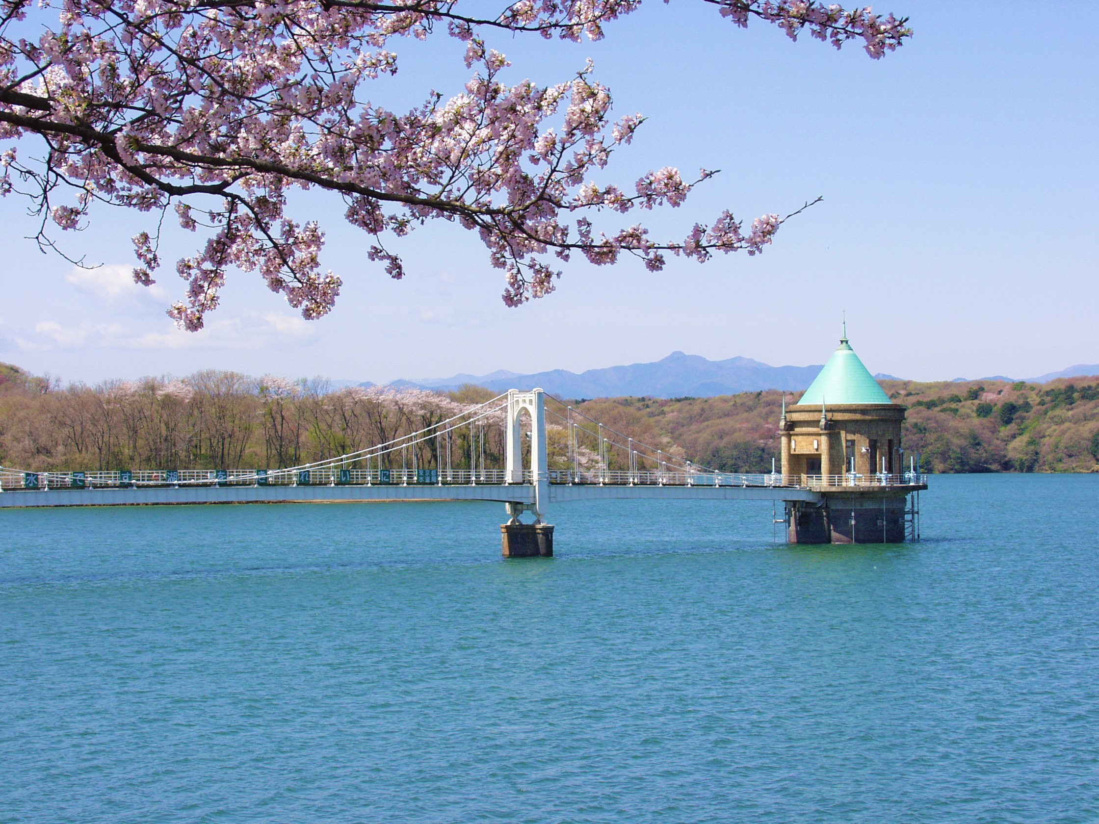 所沢市_狭山湖