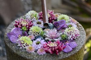 2025年6月1日(日)～14日(土) は行田花手水week !