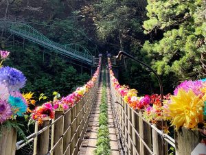 【尾ノ内渓谷紅葉祭】ダリア摘み取り・アレンジメント体験
