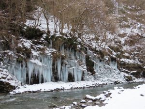 秩父市_ 三十槌の氷柱